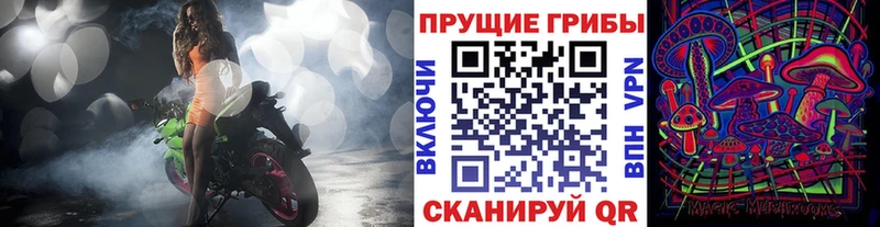 что такое hydra tor Псилоцибиновые грибы прущие грибы Костерёво
